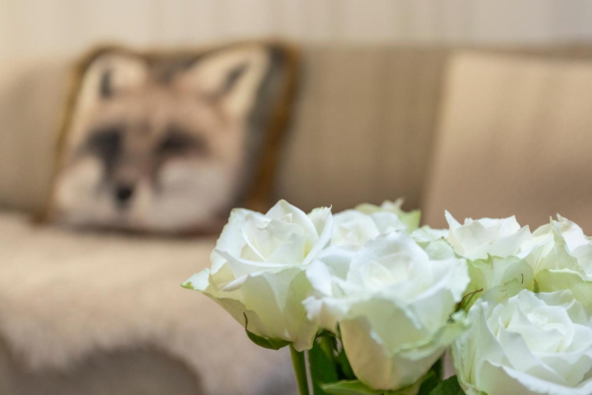Vasko Luxurious Suites, Luppo Rovaniemi Luaran gambar